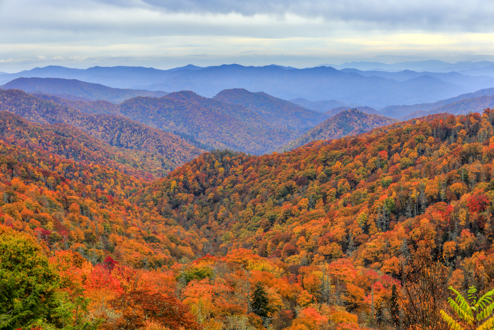Great Smoky Mountains in Fall