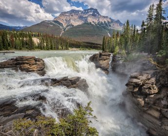 Visites à Jasper Athabasca Falls