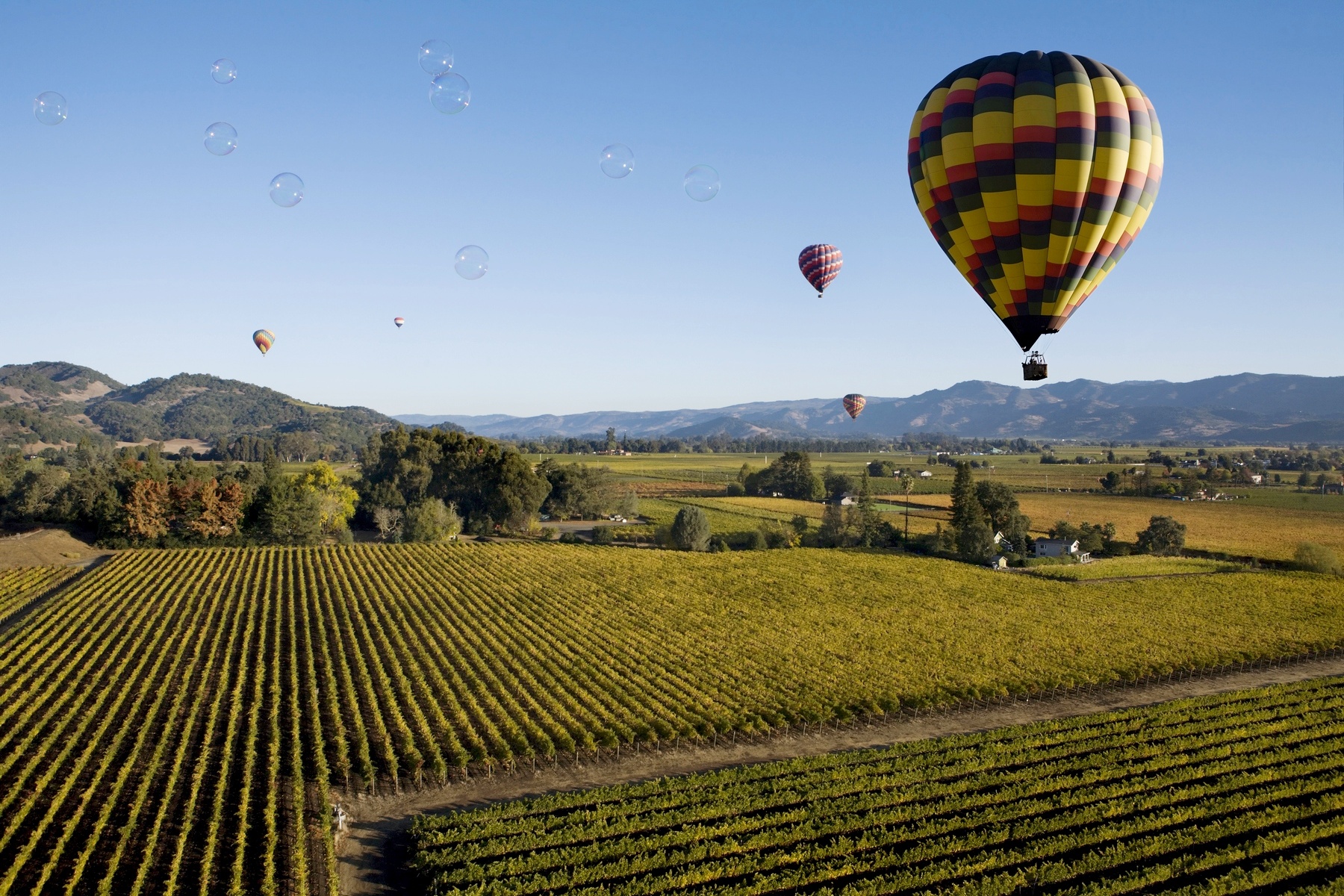 Bubbles over Napa