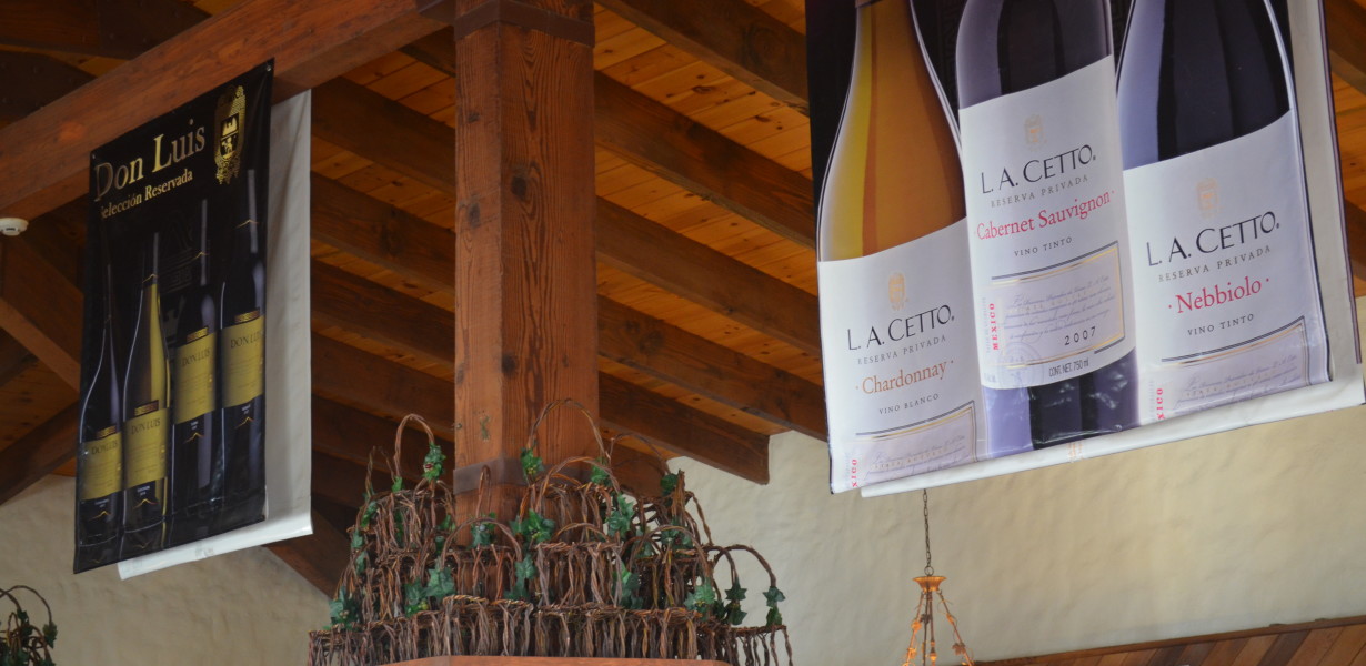 LA Cetto Winery Tour
