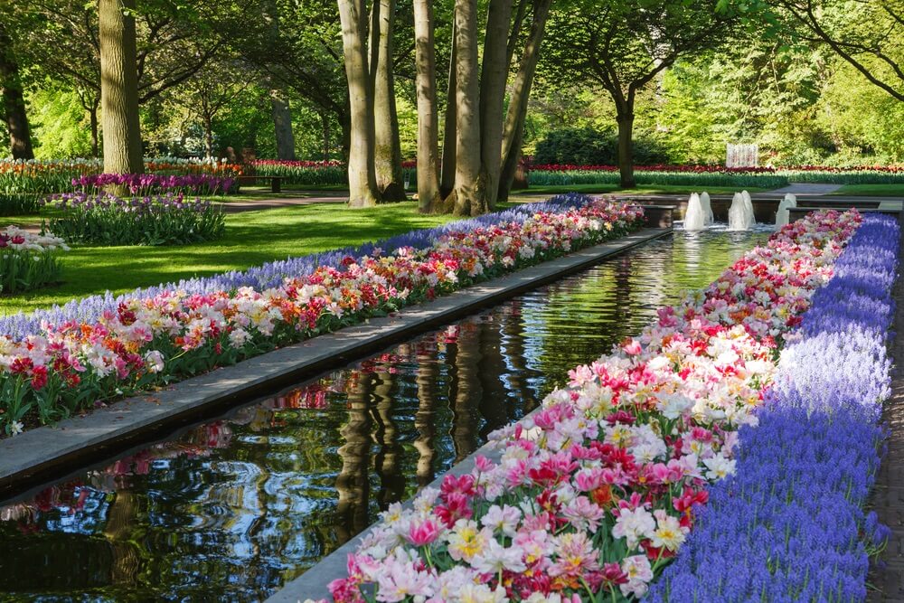 Keukenhof Gardens