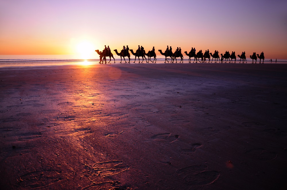 camel_ride