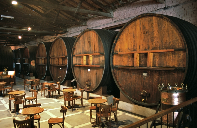 Wine tasting room in Mendoza