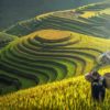 Vietnam Travel Guide: The 3 Glorious Regions