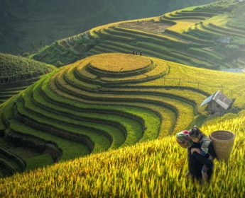 vietnam tours