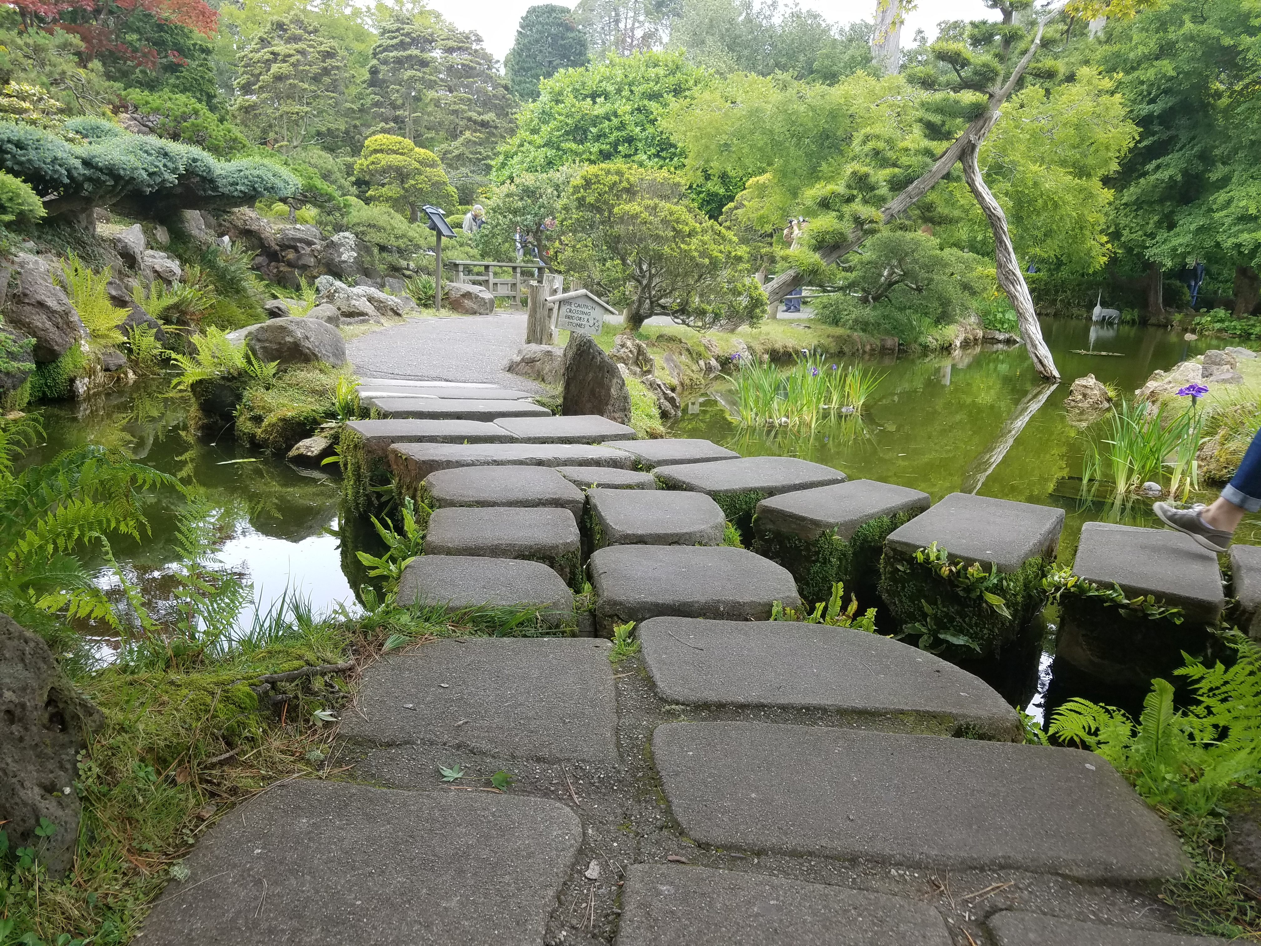 Japanese Garden Golden Gate Park