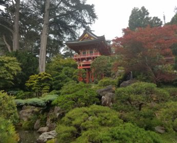 Japanese Garden Golden Gate Park