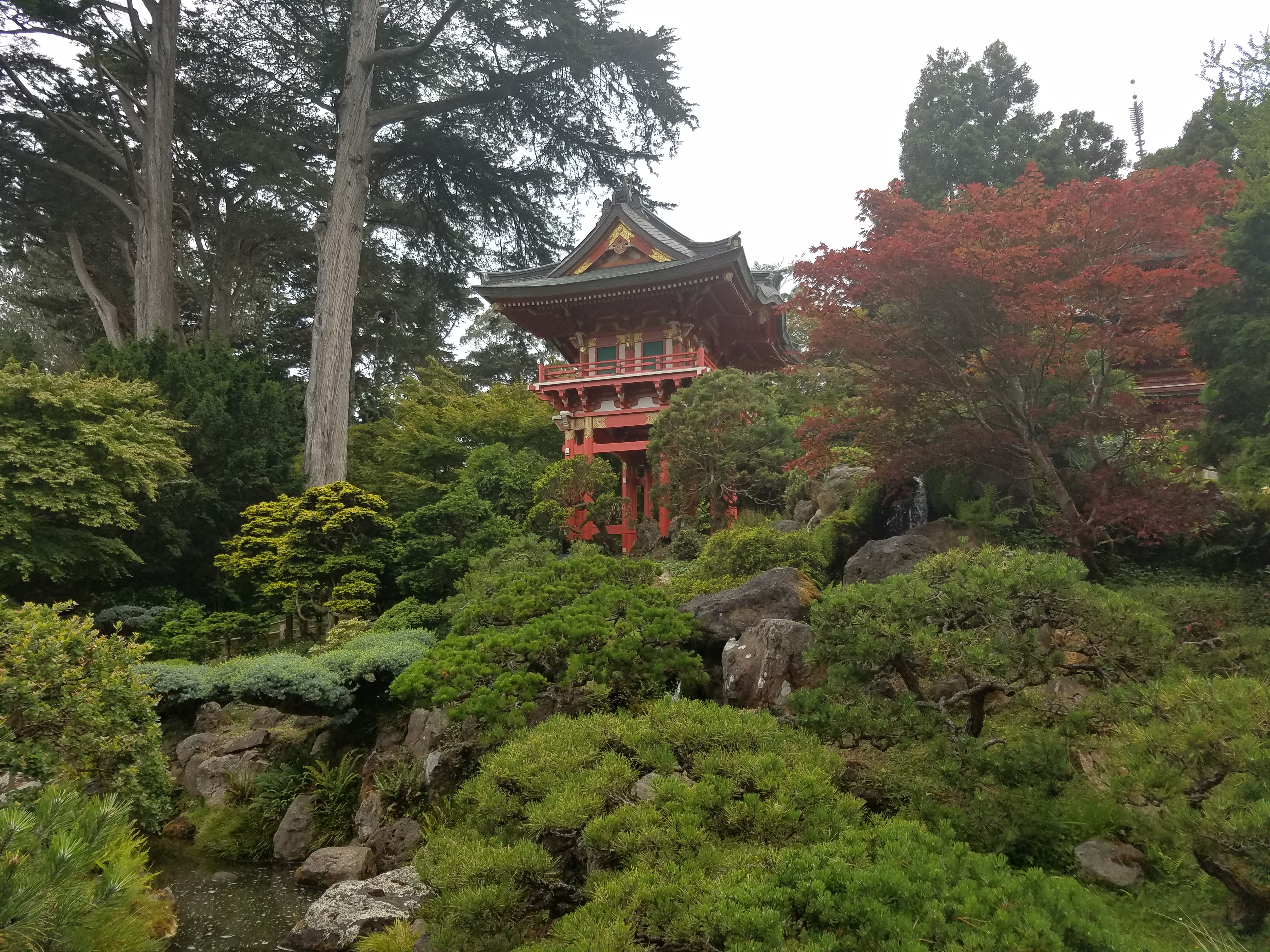 Japanese Garden Golden Gate Park