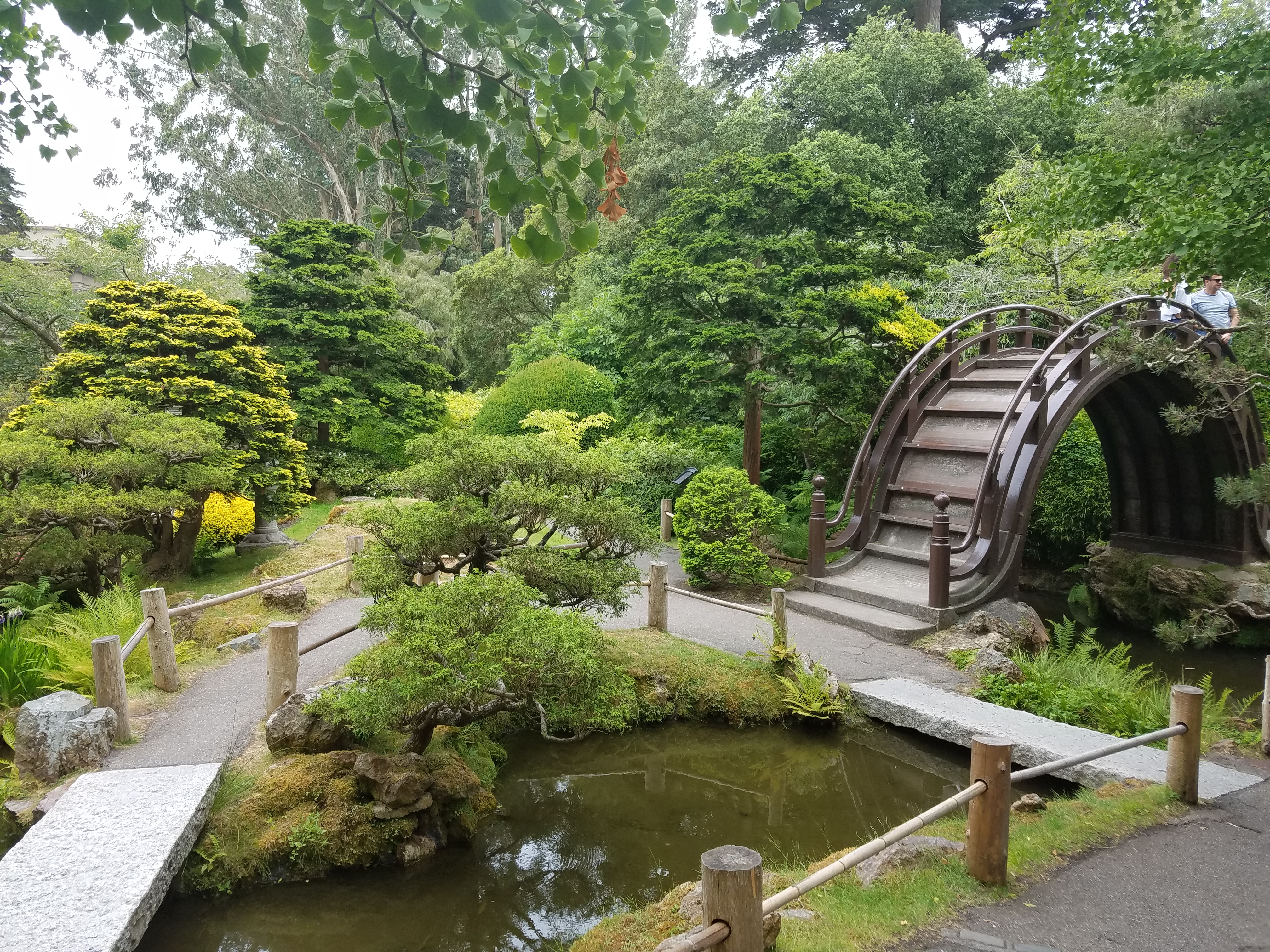 Japanese Garden Golden Gate Park