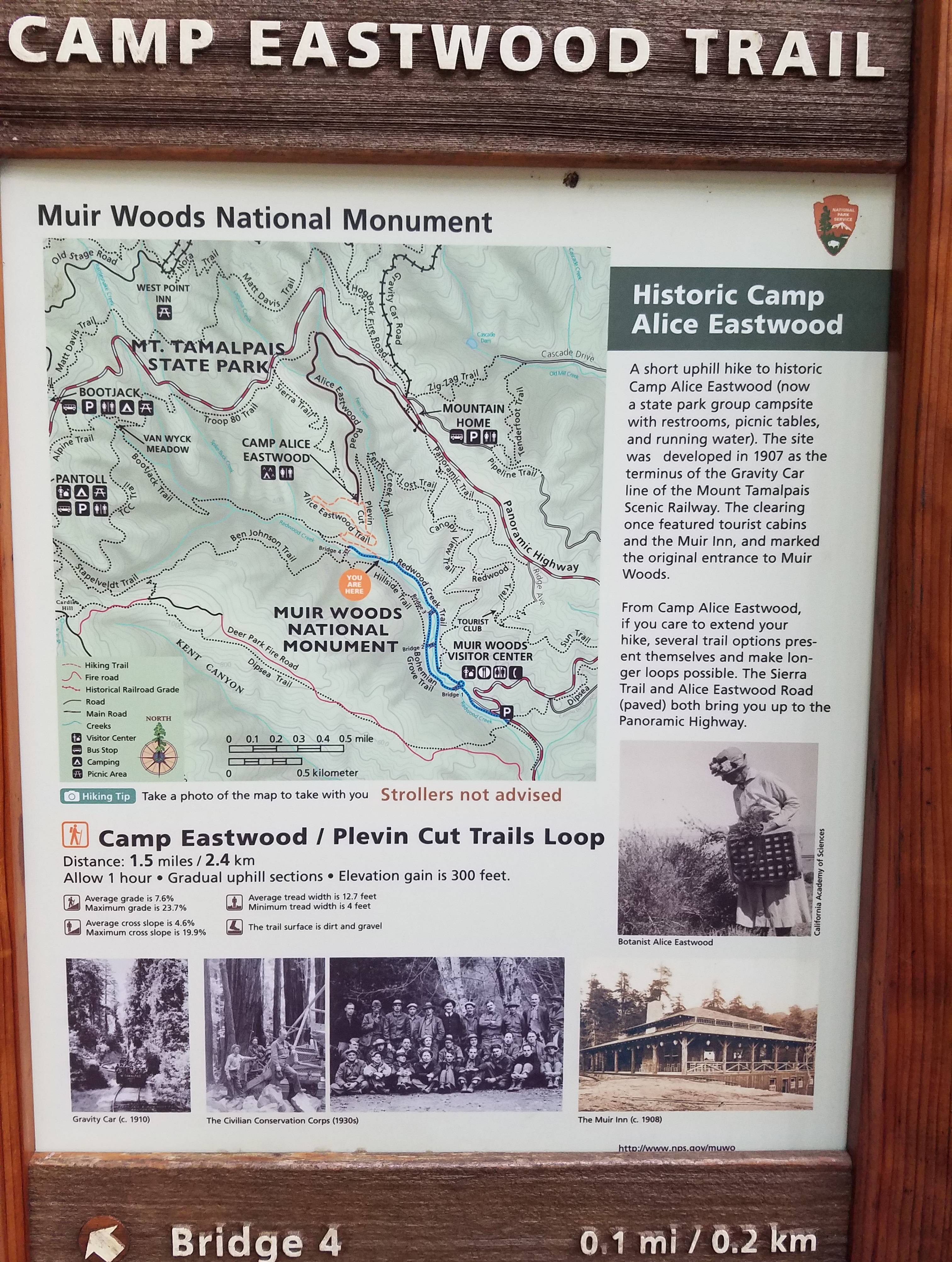 Muir Woods Extranomical Tours