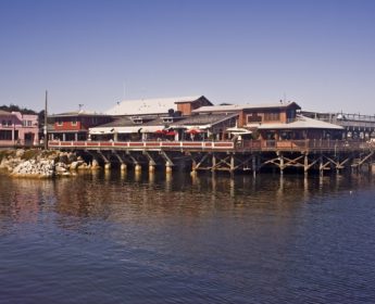Monterey Fisherman