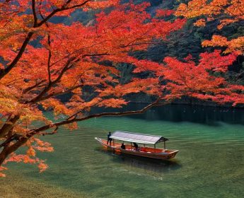 Kyoto in Fall Tours