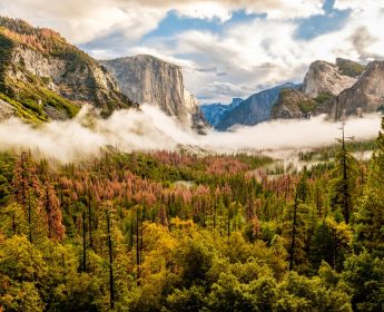 Visites des couleurs d'automne de Yosemite