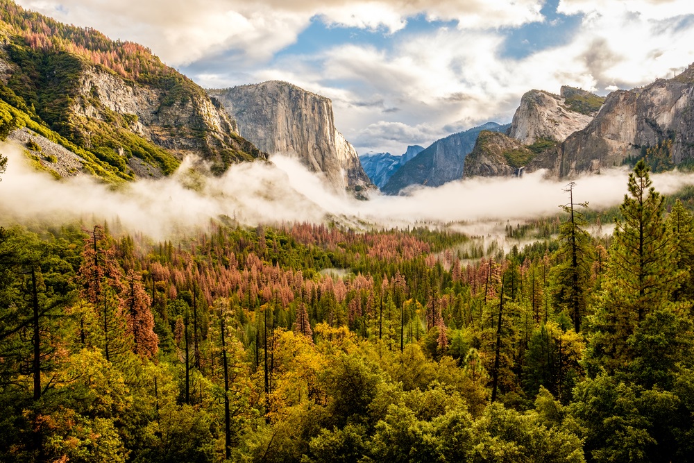 Yosemite Fall Colors Tours