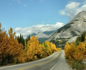 Canadian Rockies Fall Tours