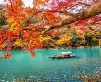 autumn leaves in japan
