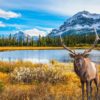 When is the Best Time to Visit Canada?