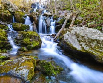 Shenandoah National Park
