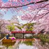 Spring 2020: Where to See Cherry Blossoms Around the World