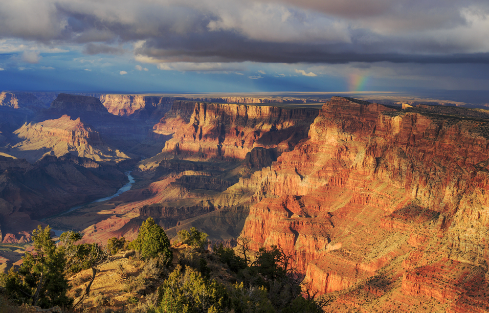 Family-friendly Grand Canyon Trip: Best Things To Do With, 52% OFF