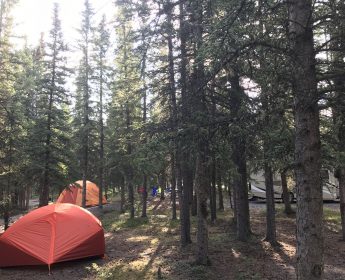 Camping at Denali National Park