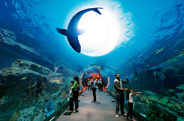 Dubai-Aquarium-and-Underwater-Zoo.jpg