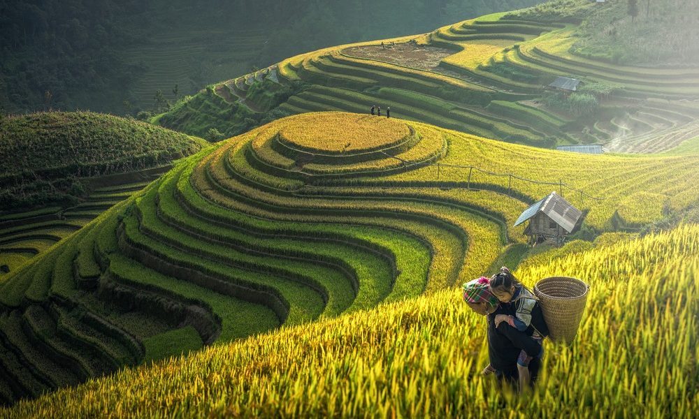 Vietnam Travel Guide: The 3 Glorious Regions