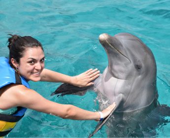 swimming with dolphins in Cancun