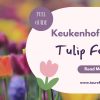 Spring Guide to Keukenhof Gardens Tulip Festival 2026
