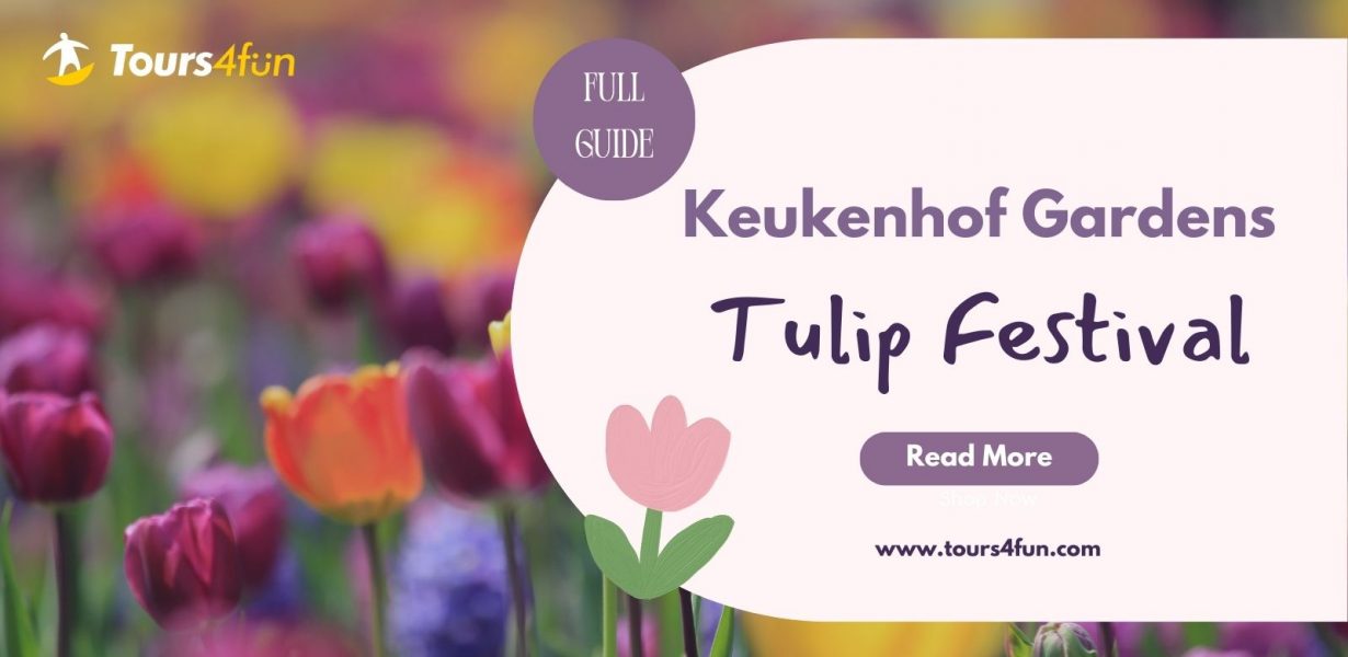 Spring Guide to Keukenhof Gardens Tulip Festival 2026