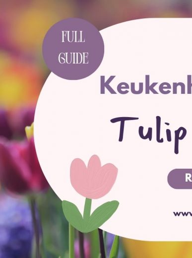 The 10 Best Christmas Holiday Destinations in Europe