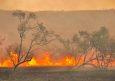 Australia Bushfires Travel Advice