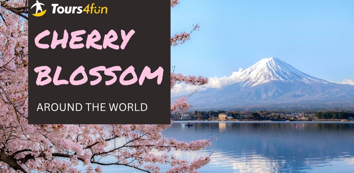 Where to See Cherry Blossoms Around the World 2026