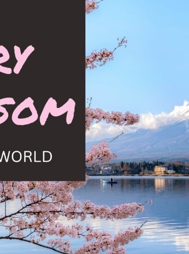 Christmas Travel Deals & Vacation Packages – Tours4fun