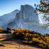 Fun Attractions & Things to Do in Yosemite National Park