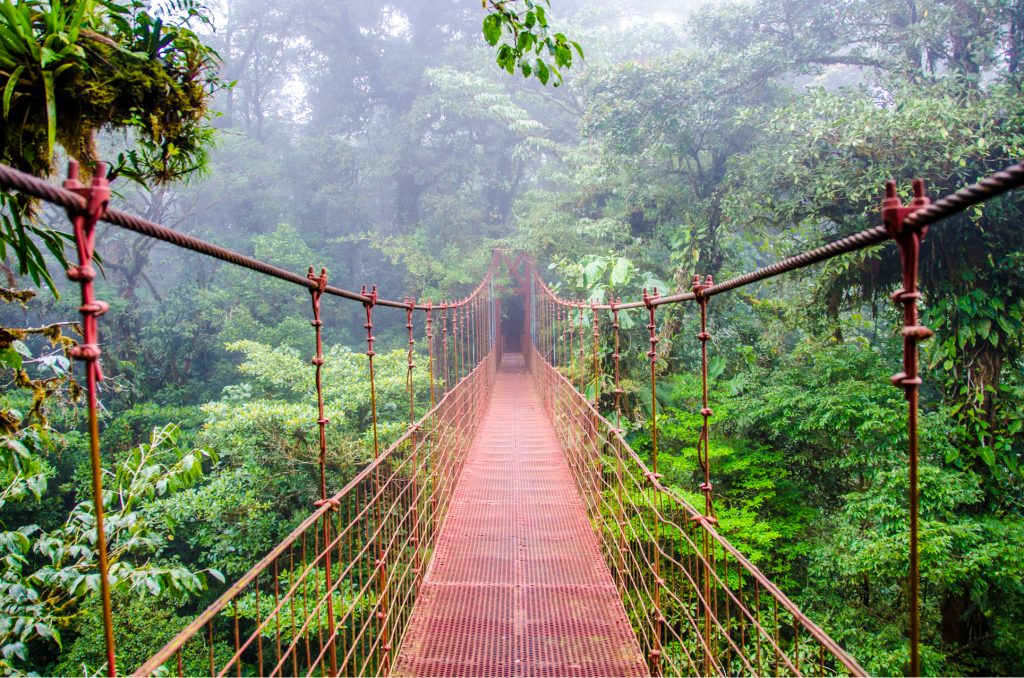 forêt nuageuse de Monteverde