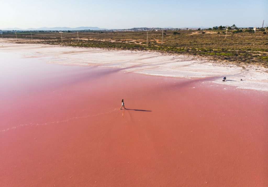 Pink Lake Torrevieja Spain