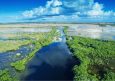 Experience Florida’s Everglades National Park