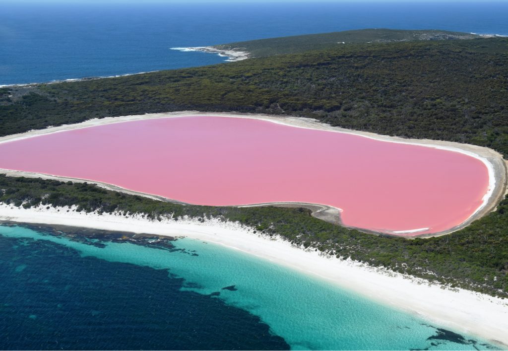 Can You Swim In The Pink Lake Port Gregory Best 10 Pink Places In The World Asia Travel Log