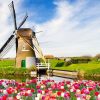 2023 The latest Travel guide and tips for Netherlands.