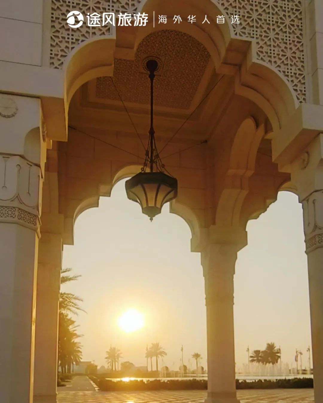 完美收官！与大师同行：阿布扎比文化之旅精彩回顾！