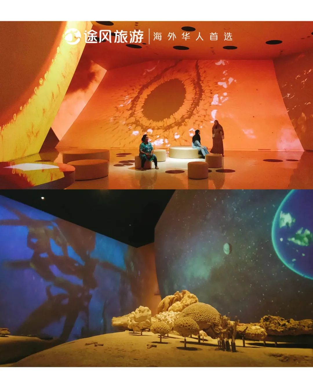 完美收官！与大师同行：阿布扎比文化之旅精彩回顾！