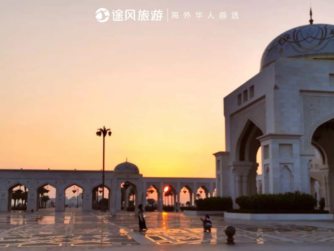 完美收官！与大师同行：阿布扎比文化之旅精彩回顾！