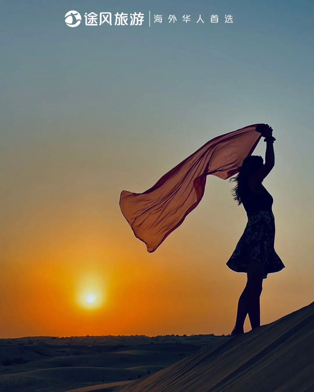 完美收官！与大师同行：阿布扎比文化之旅精彩回顾！