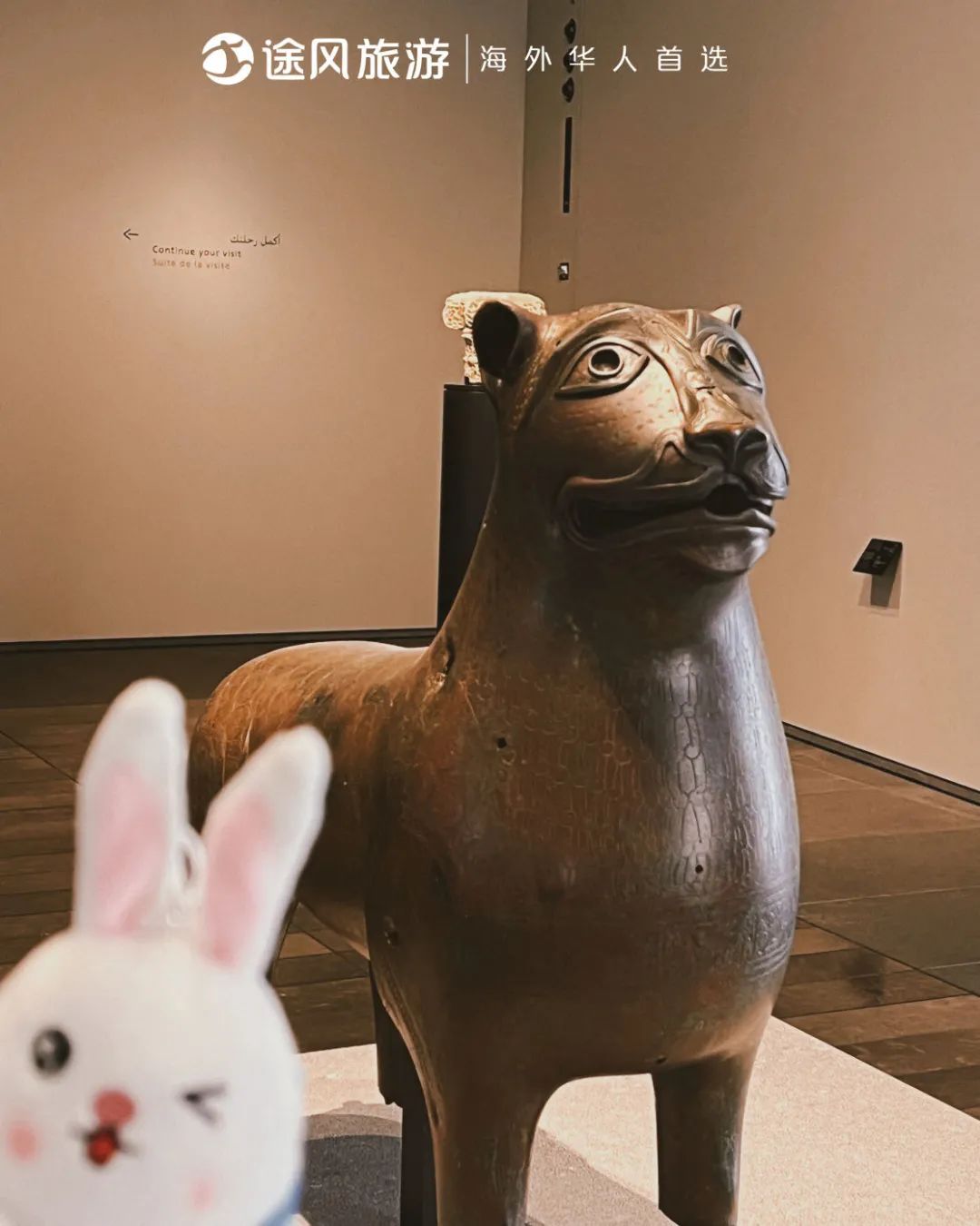 完美收官！与大师同行：阿布扎比文化之旅精彩回顾！