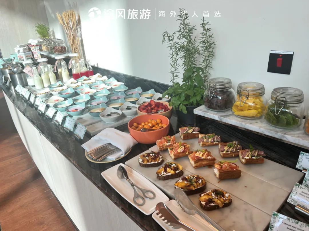 完美收官！与大师同行：阿布扎比文化之旅精彩回顾！