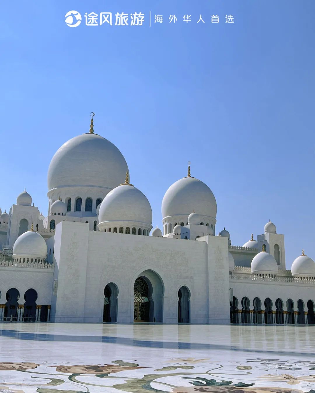 完美收官！与大师同行：阿布扎比文化之旅精彩回顾！