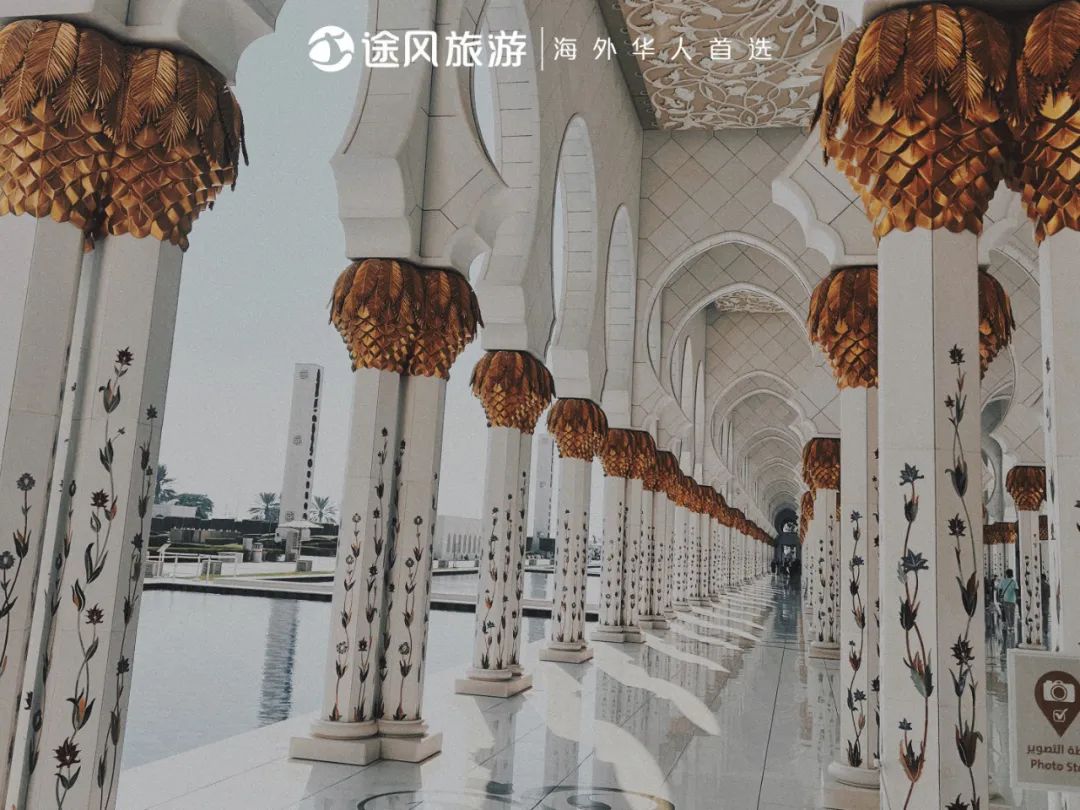 完美收官！与大师同行：阿布扎比文化之旅精彩回顾！