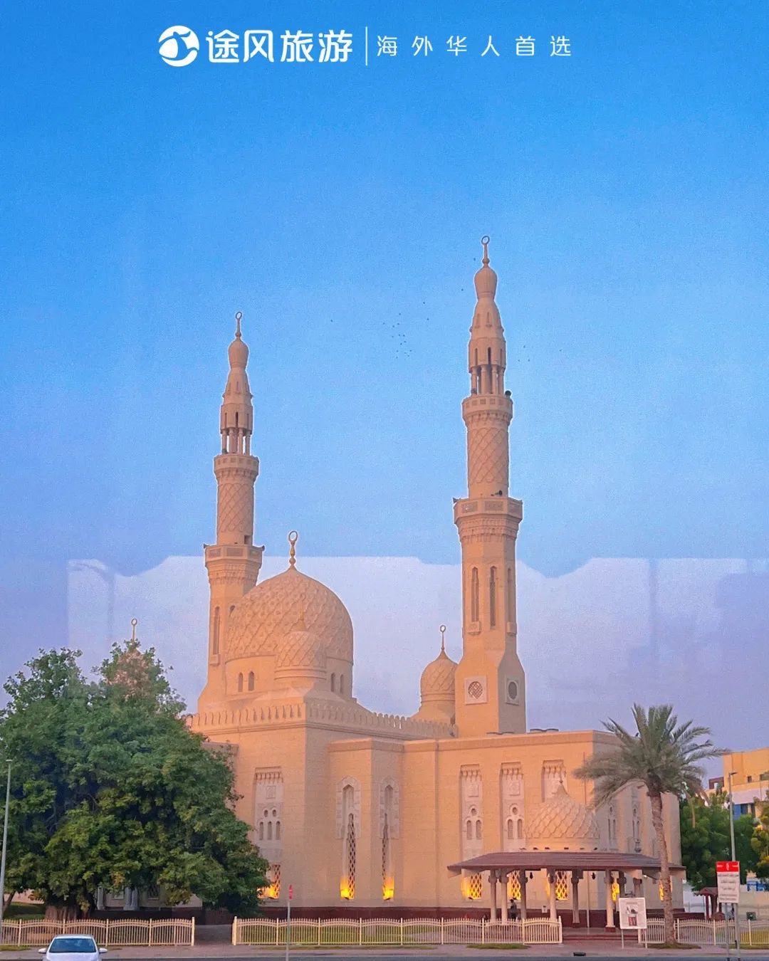 完美收官！与大师同行：阿布扎比文化之旅精彩回顾！