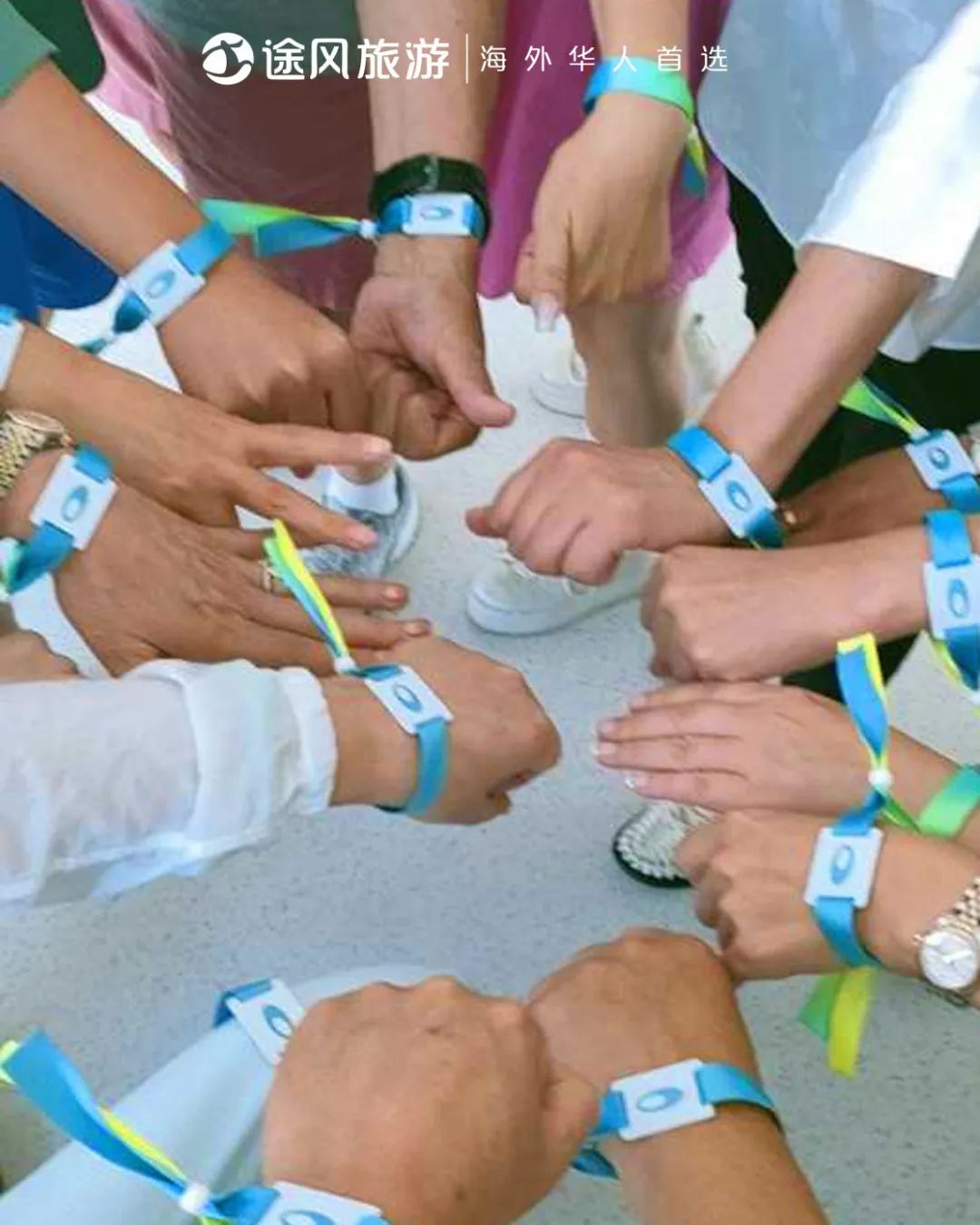 完美收官！与大师同行：阿布扎比文化之旅精彩回顾！